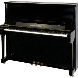 Steingraeber & Söhne Pianos 2